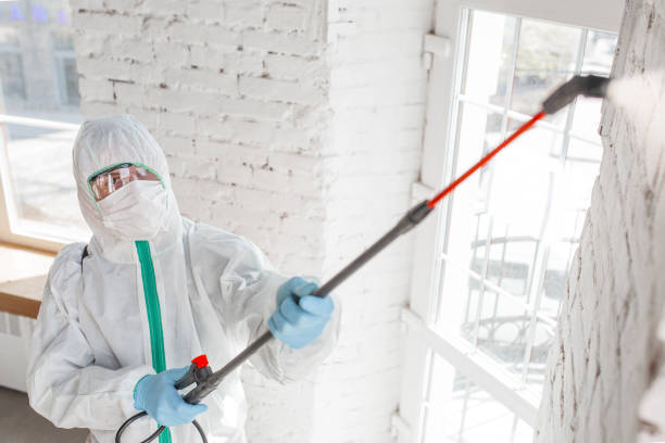 Best Commercial Mold Inspection  in Ithaca, MI