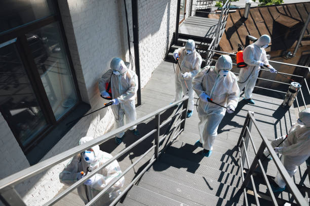 Best Indoor Air Quality Assessment  in Ithaca, MI