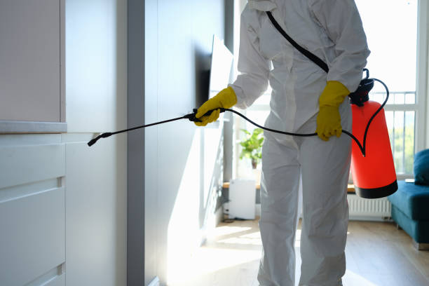 Best Post-Remediation Verification Testing  in Ithaca, MI