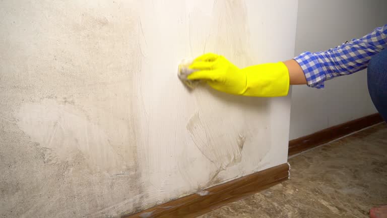 Best Mold Remediation for Healthcare Facilities  in Ithaca, MI