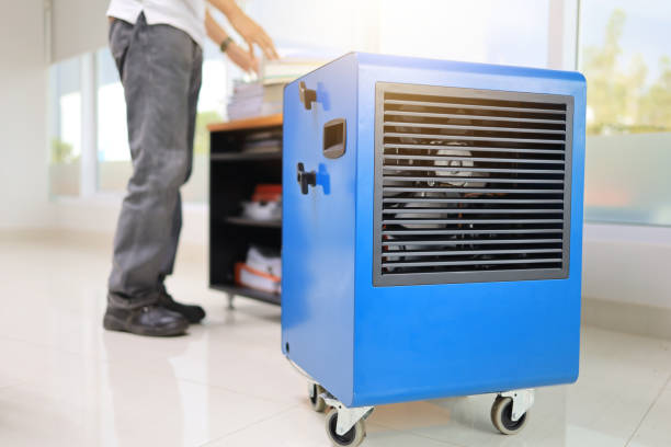 Best Air Quality Testing for Mold Spores  in Ithaca, MI